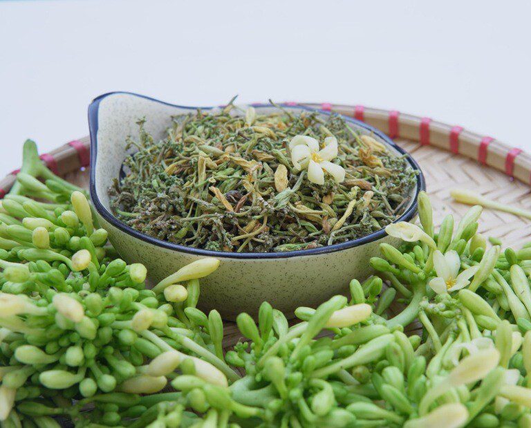 Hoa đu đủ đực không có tác dụng chữa ung thư