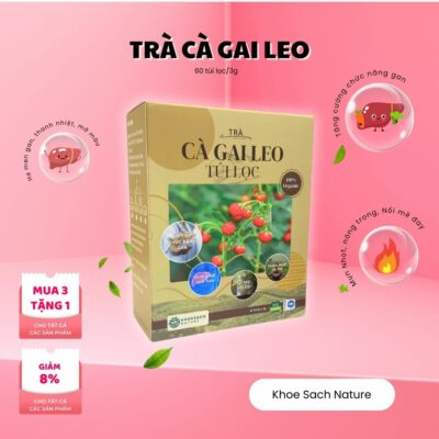 Trà cà gai leo hộp (60 Túi / 3g)